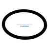 Yamada Pumps Yamada Pump Part - O RING 45.7MM X 3.5MM  PTFE - PN 643044