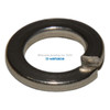 Yamada Pumps Yamada Pump Part - SPRING WASHER M12 SS - PN 680607