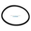 Yamada Pumps Yamada Pump Part - O RING 104.6 MM X5.7 MM E70 - PN 684122