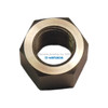 Yamada Pumps Yamada Pump Part - NUT M16X1.50 SS - PN 706144