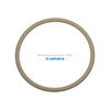 Yamada Pumps Yamada Pump Part - O RING 100MM X 6MM PTFE - PN 772063