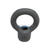 Yamada Pumps Yamada Pump Part - EYE BOLT AD-40/50 GRAY PTFE - PN 630241-XP