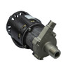 March Pumps - 809-SS-HS-C 230V Magnetic Drive Pump - 0809-0257-0200