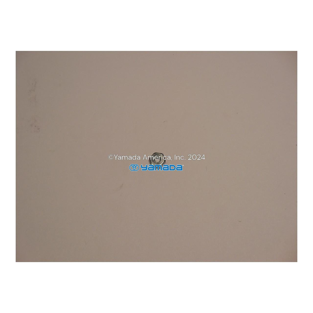 Yamada Pumps Yamada Pump Part - HEX NUT FOR DM-2 PROBE - PN 140015