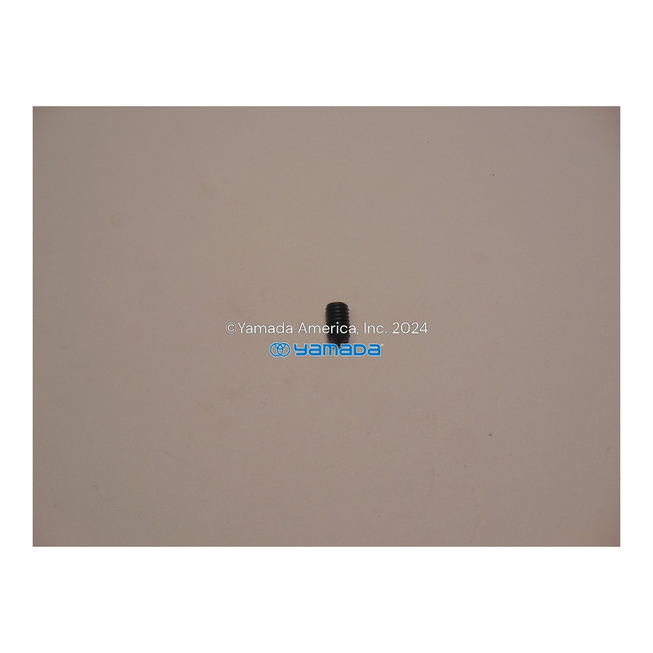 Yamada-pump-part-610025.jpg