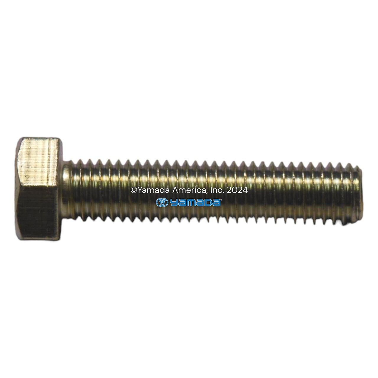 Yamada Pumps Yamada Pump Part - BOLT M12X1.75X55 ZINC FT - PN 611204