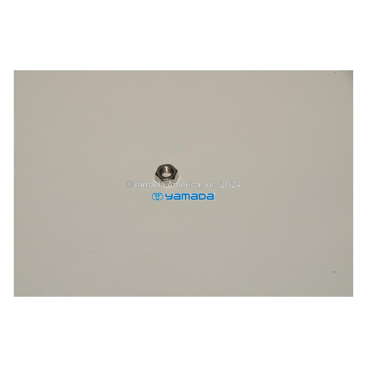 Yamada Pumps Yamada Pump Part - NUT M6X1.00 304SS - PN 628010