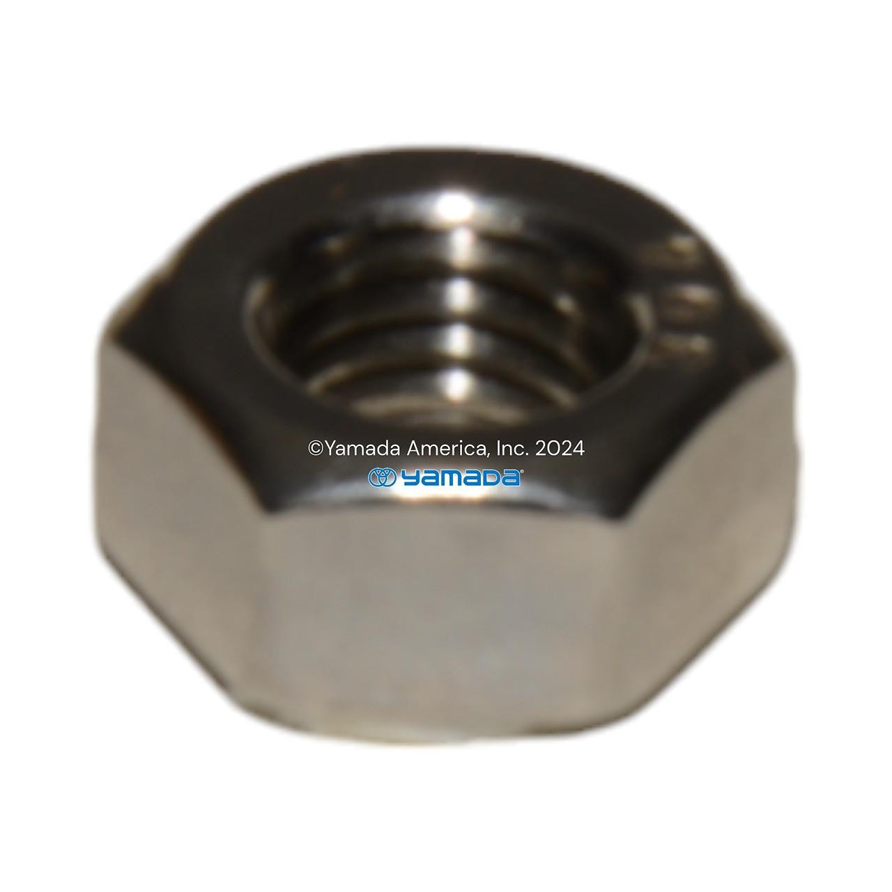 Yamada Pumps Yamada Pump Part - NUT M10X1.5 CT SS - PN 628013
