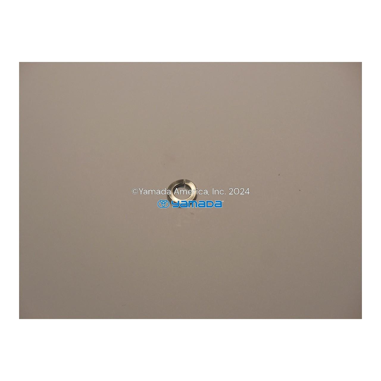 Yamada Pumps Yamada Pump Part - WAVE WASHER M8 - PN 631916
