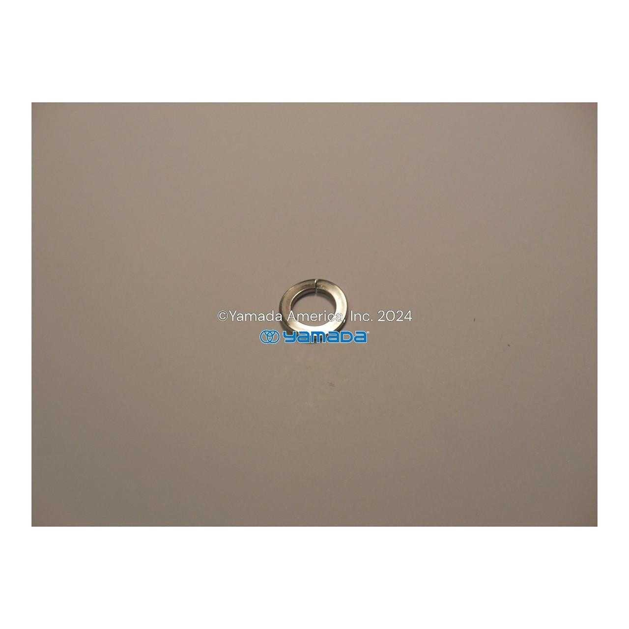 Yamada Pumps Yamada Pump Part - WAVE WASHER M12 SUS - PN 631938