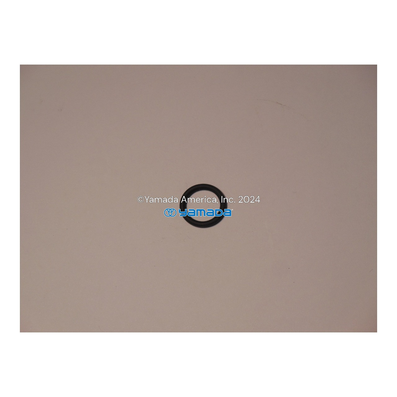 Yamada-pump-part-642013.jpg