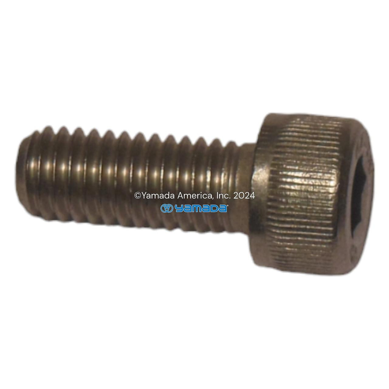 Yamada Pumps Yamada Pump Part - BOLT SKT HDM8X1.25X20 FT SS - PN 681297