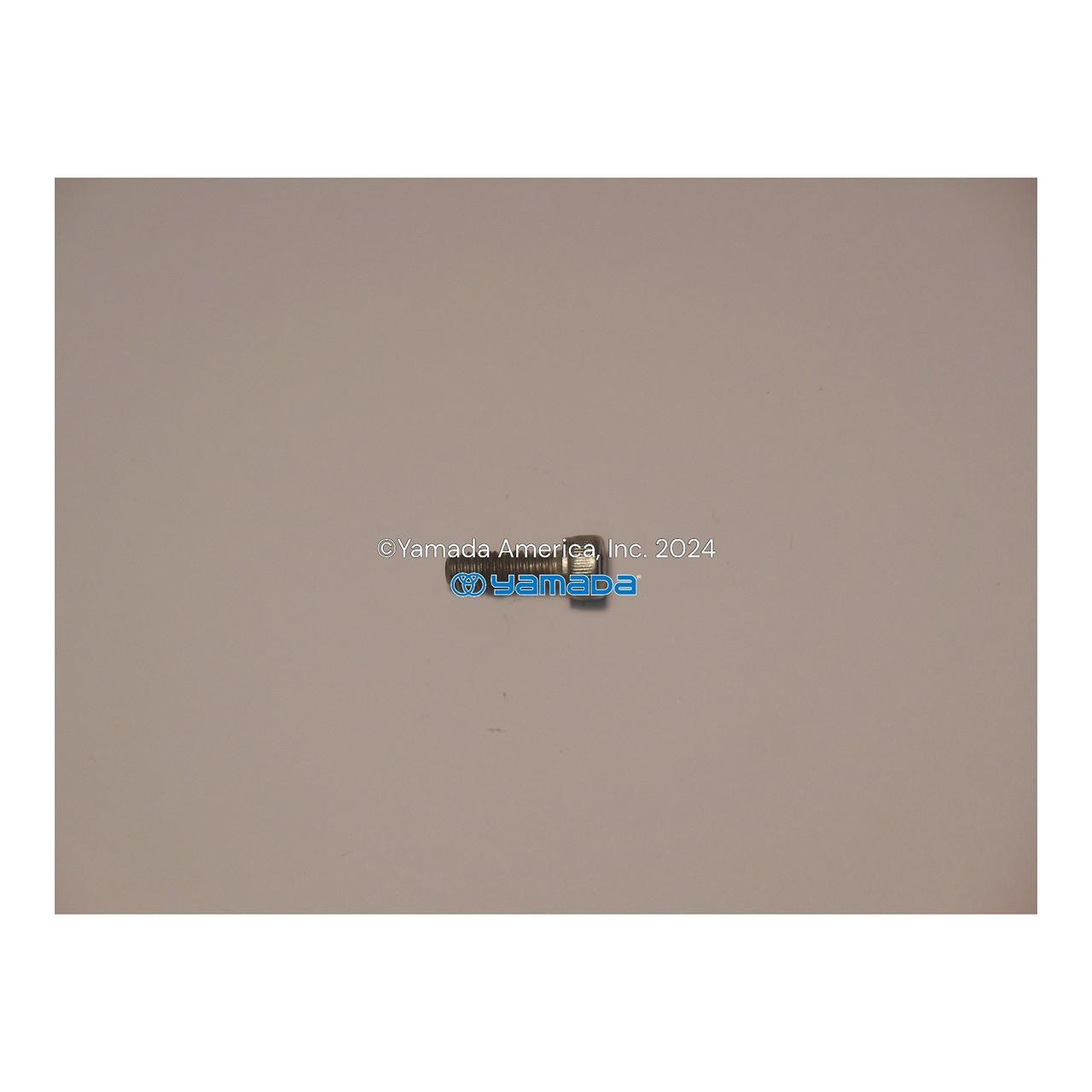Yamada Pumps Yamada Pump Part - BOLT SOCKET HD10 PT SS DIN912 - PN 682918