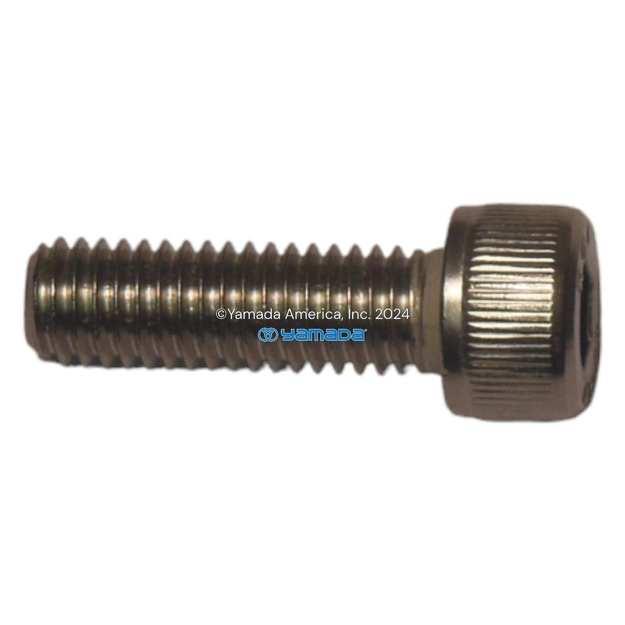 Yamada Pumps Yamada Pump Part - BOLT 10 SOCKET HD M8 FT SS - PN 682944