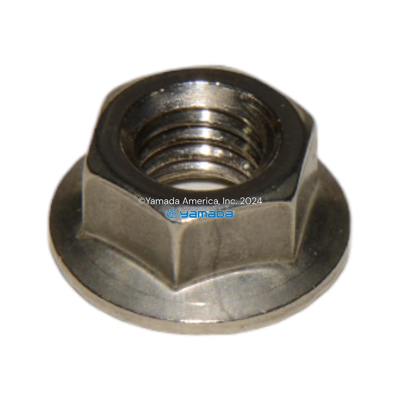 Yamada Pumps Yamada Pump Part - NUT W/FLANGE M8X1.25 - PN 686032