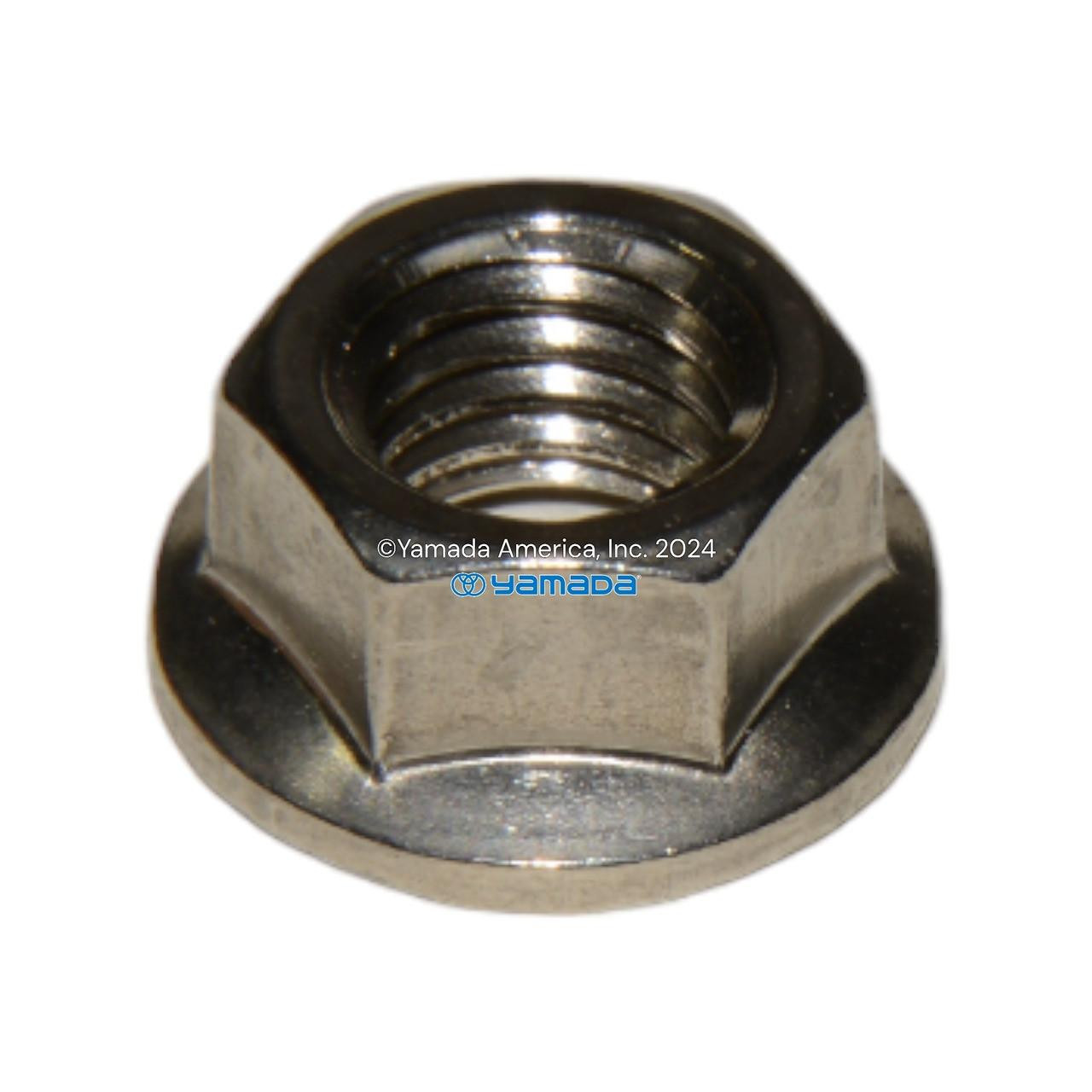 Yamada Pumps Yamada Pump Part - NUT W/FLANGE M10X1.5 - PN 686033