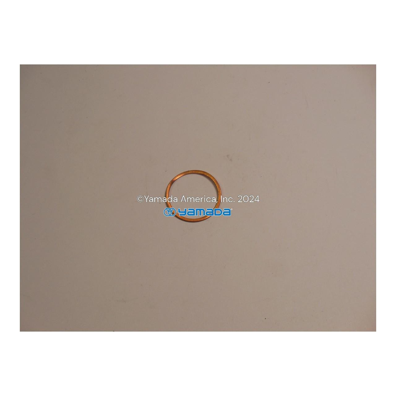 Yamada Pumps Yamada Pump Part - WASHER KPL-24 - PN 702977
