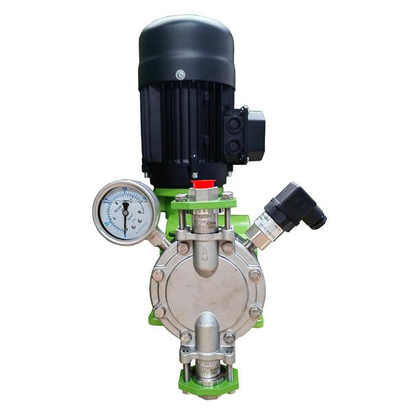 Pulsafeeder Engineered Pulsafeeder GreenLine (GLM) Diaphragm Metering Pump
