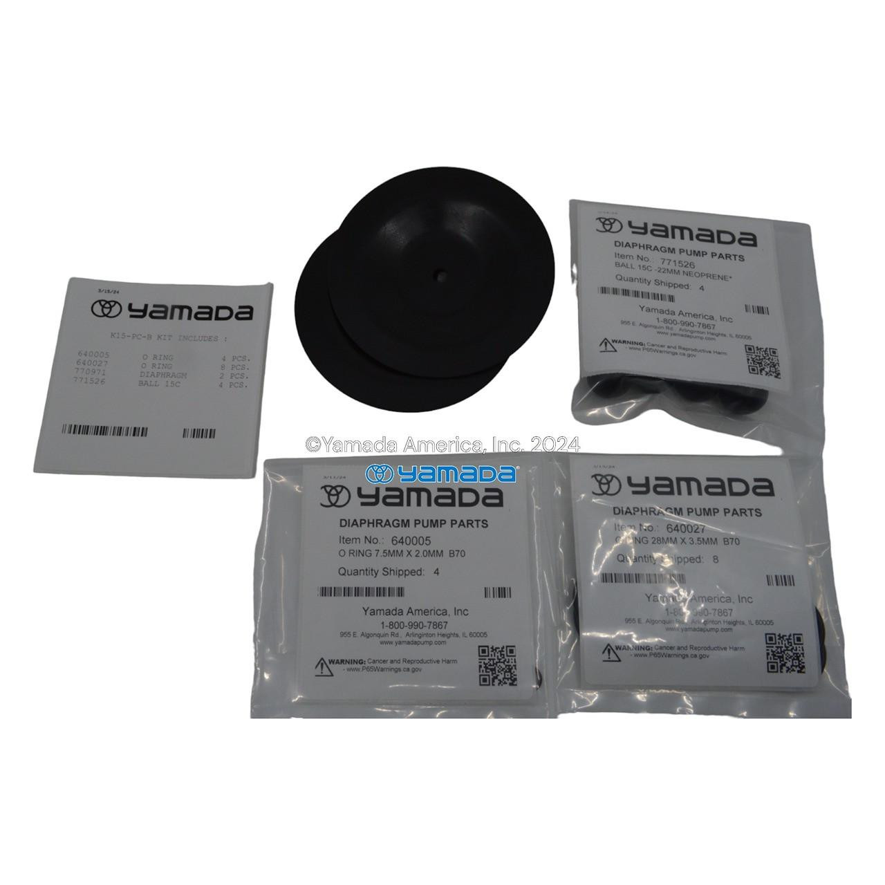 Yamada Pumps Yamada K15-PC-B Liquid End Kit (Fits DP-15, NDP-15BPC)