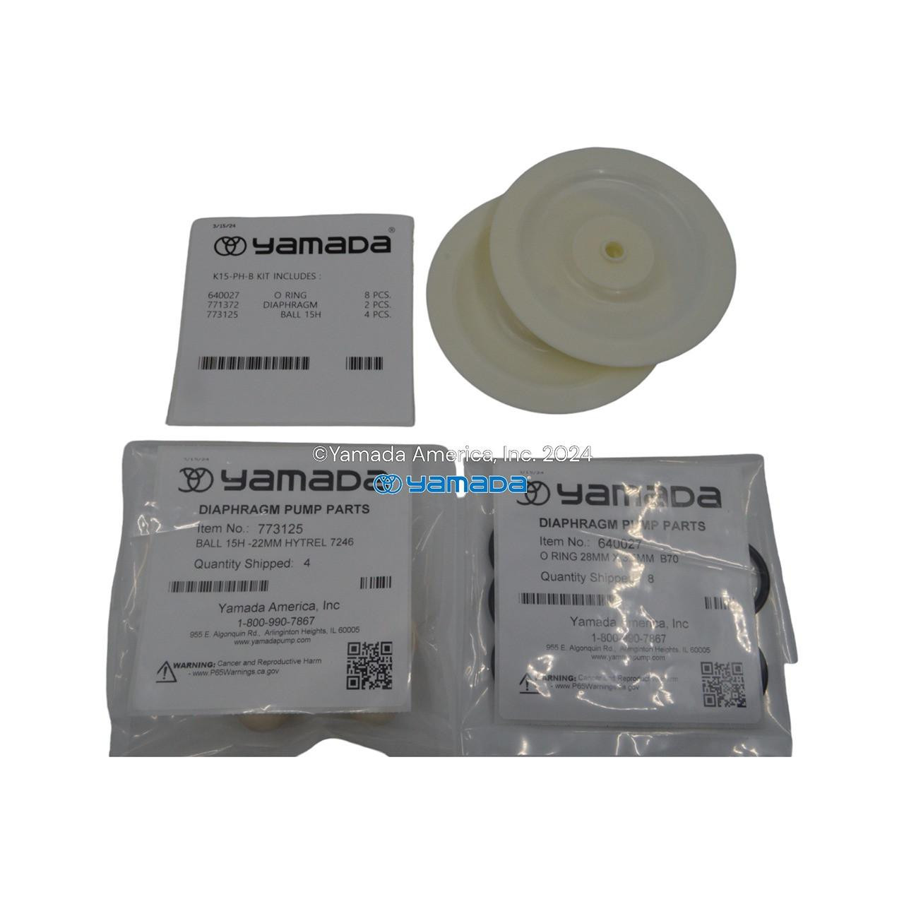 Yamada Pumps Yamada K15-PH-B Liquid End Kit (Fits DP-15, NDP-15BPH)