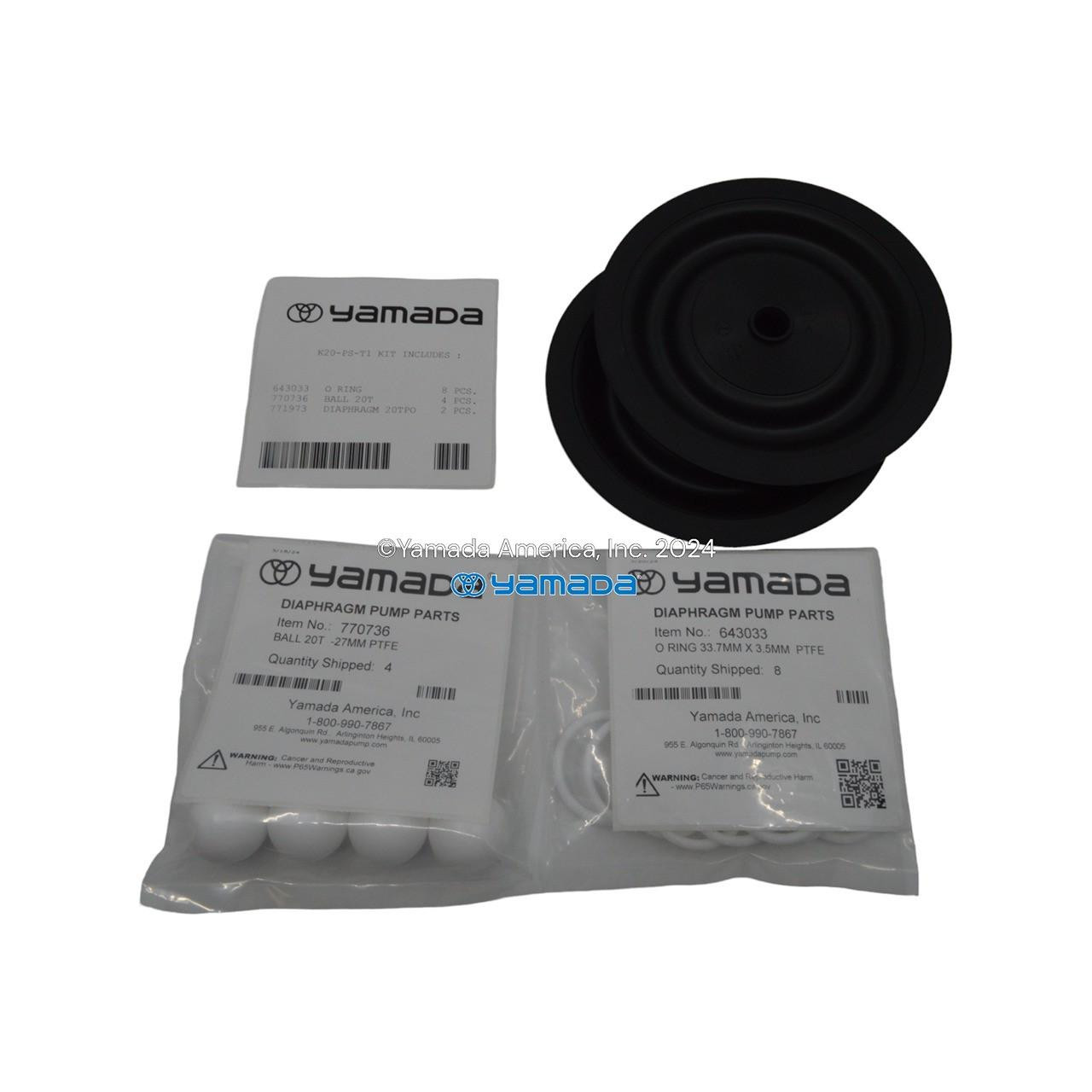 Yamada Pumps Yamada K20-PS-T1 Liquid End Kit (Fits NDP-20BPS-T1)