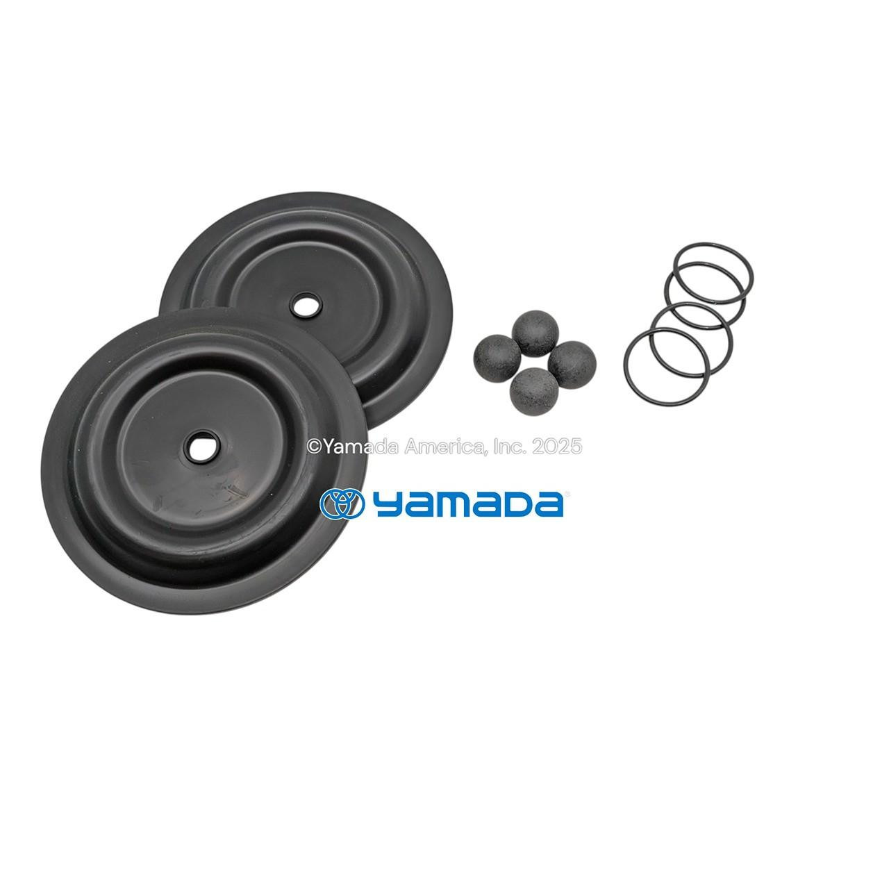 Yamada Pumps Yamada KG25-AS Liquid End Kit (Fits G25AS11)