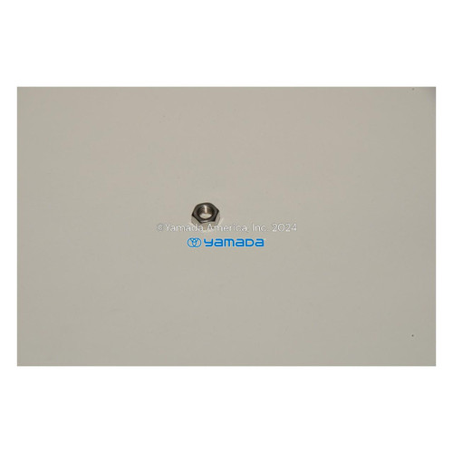 Yamada Pumps Yamada Pump Part - NUT M6X1.00 304SS - PN 628010