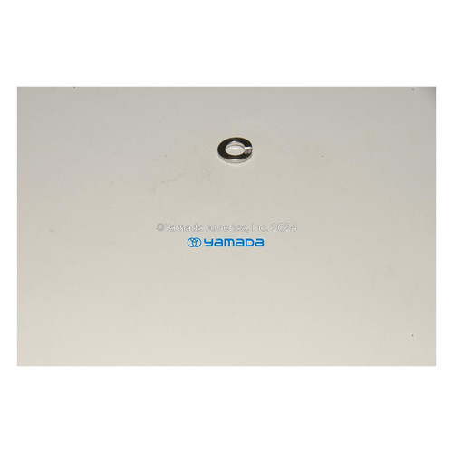 Yamada Pumps Yamada Pump Part - SPRING WASHER M6 SS DIN 127 - PN 681855