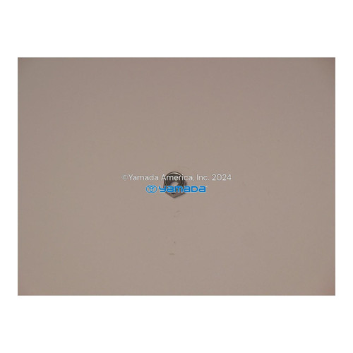 Yamada Pumps Yamada Pump Part - NUT 20/25 - PN 682703