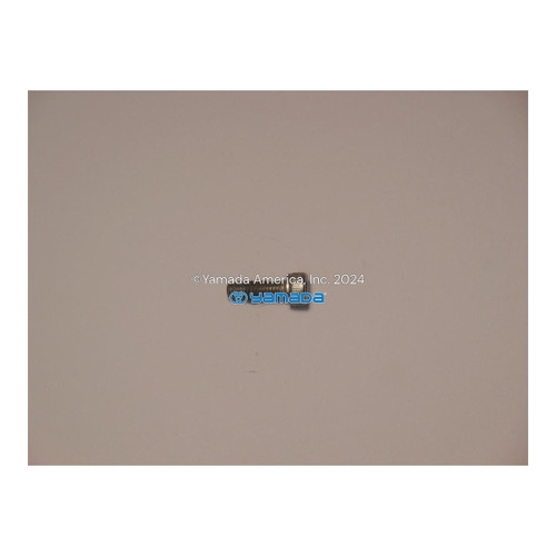 Yamada Pumps Yamada Pump Part - BOLT SOCKET HD10 PT SS DIN912 - PN 682918