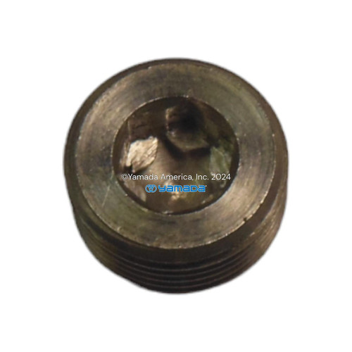 Yamada Pumps Yamada Pump Part - PLUG 10AL/SS - PN 709872