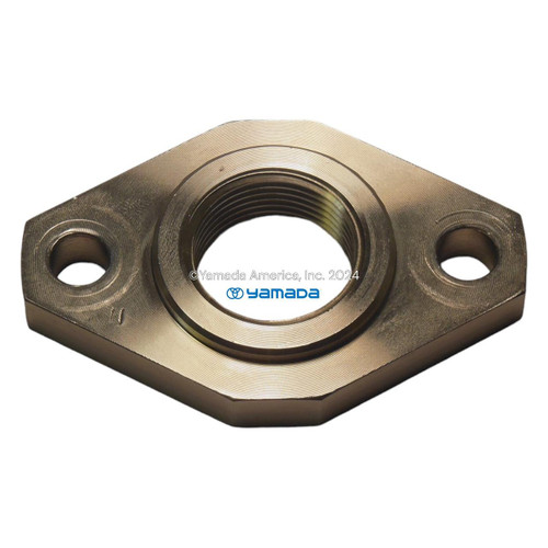 Yamada Pumps Yamada Pump Part - FLANGE AD-25SS NPT - PN 714089