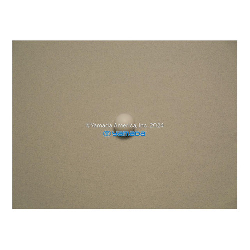 Yamada Pumps Yamada Pump Part - BALL 10T  -16MM PTFE - PN 770931