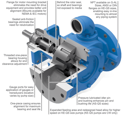 Viking Pump - Model AK4195 - Cast Iron Gear Pump - 4-1915-2231-563