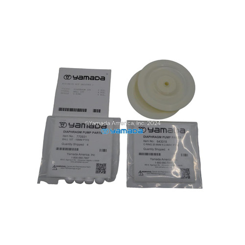 Yamada Pumps Yamada K10-PH-T1 Liquid End Kit (Fits DP-10BPH-T1)
