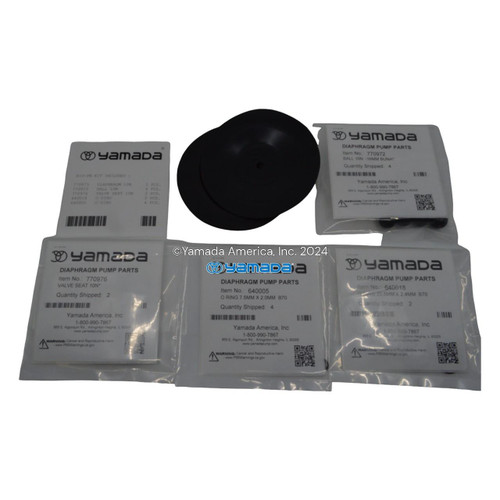 Yamada Pumps Yamada K10-PN Liquid End Kit (Fits DP-10BPN)