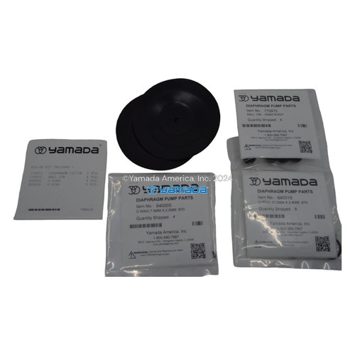Yamada Pumps Yamada K10-SN Liquid End Kit (Fits DP-10BSN) 