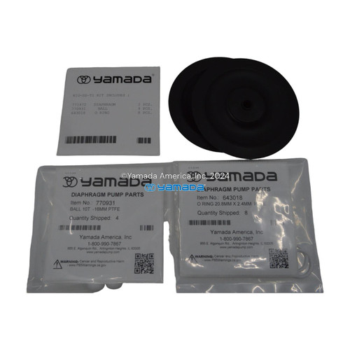 Yamada Pumps Yamada K10-SS-T1 Liquid End Kit (Fits DP-10BSS-T1)