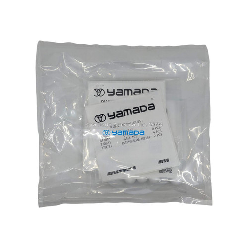 Yamada Pumps Yamada K10-ST Liquid End Kit (Fits DP-10BST, DP-10BST-FDA)