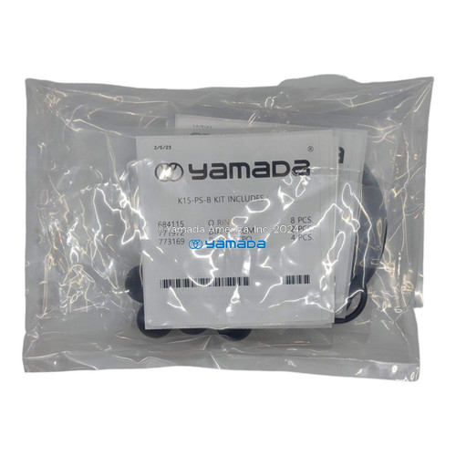 Yamada Pumps Yamada K15-PS-B Liquid End Kit (Fits DP-15, NDP-15BPS) 