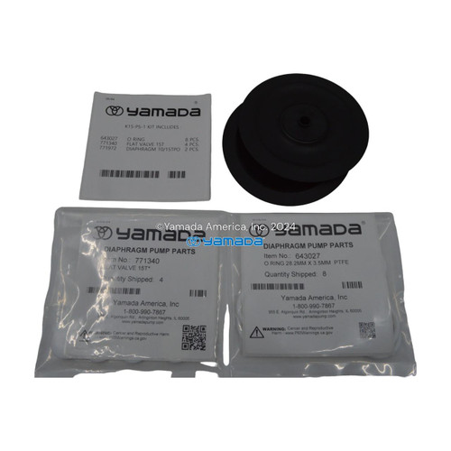 Yamada Pumps Yamada K15-PS-1 Liquid End Kit (Fits DP-15, NDP-15FPS-1)