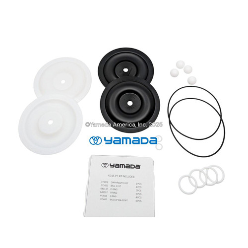 Yamada Pumps Yamada KG15-PT Liquid End Kit (Fits G15PT11)