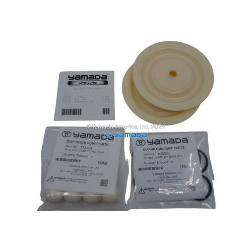 Yamada Pumps Yamada K20-PH Liquid End Kit (Fits NDP-20BPH) 