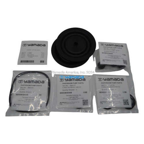 Yamada Pumps Yamada K20-MS-1 Liquid End Kit (Fits NDP-20BAS, BSS, BAS-PP, BSS-PP) 