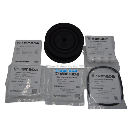 Yamada Pumps Yamada K20-MS-T1-1 Liquid End Kit (Fits NDP-20BAS-T1 , BSS-T1)