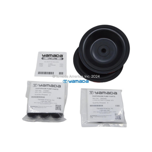 Yamada Pumps Yamada K25-PN-PP Liquid End Kit (Fits NDP-25BPN-PP)