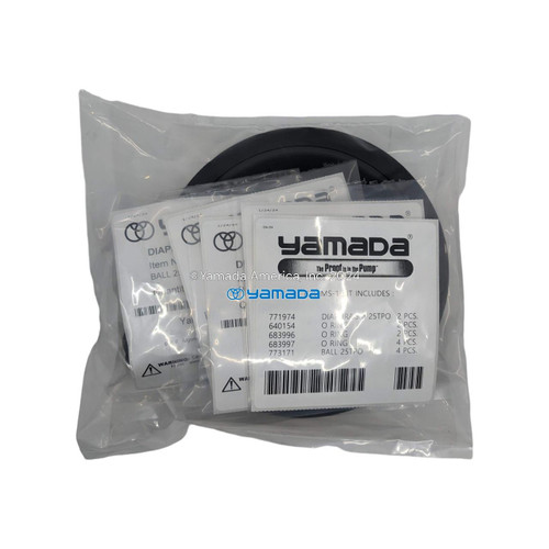 Yamada Pumps Yamada K25-MS-1 Liquid End Kit (Fits NDP-25BAS, BFS, BSS, BAS-PP, BFS-PP, BSS-PP) 