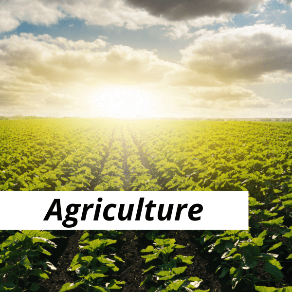 Essential Agricultural Solutions: Fluid Management, Chemical Storage, Ventilation