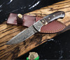 TITAN - TD-159 Damascus Steel Fixed Blade Knife with Walnut & Stag Horn Handle