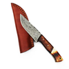TITAN - Damascus Steel Hunting EDC knife
